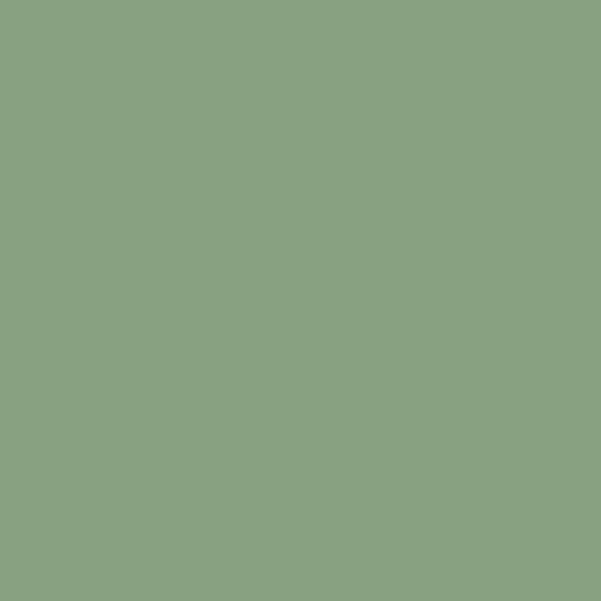 Farbe RAL 6021 blaßgrün feinstruktur matt Farbe RAL 6021 blaßgrün feinstruktur matt