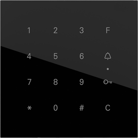Gira System 106 Keyless In Codetastaturmodul