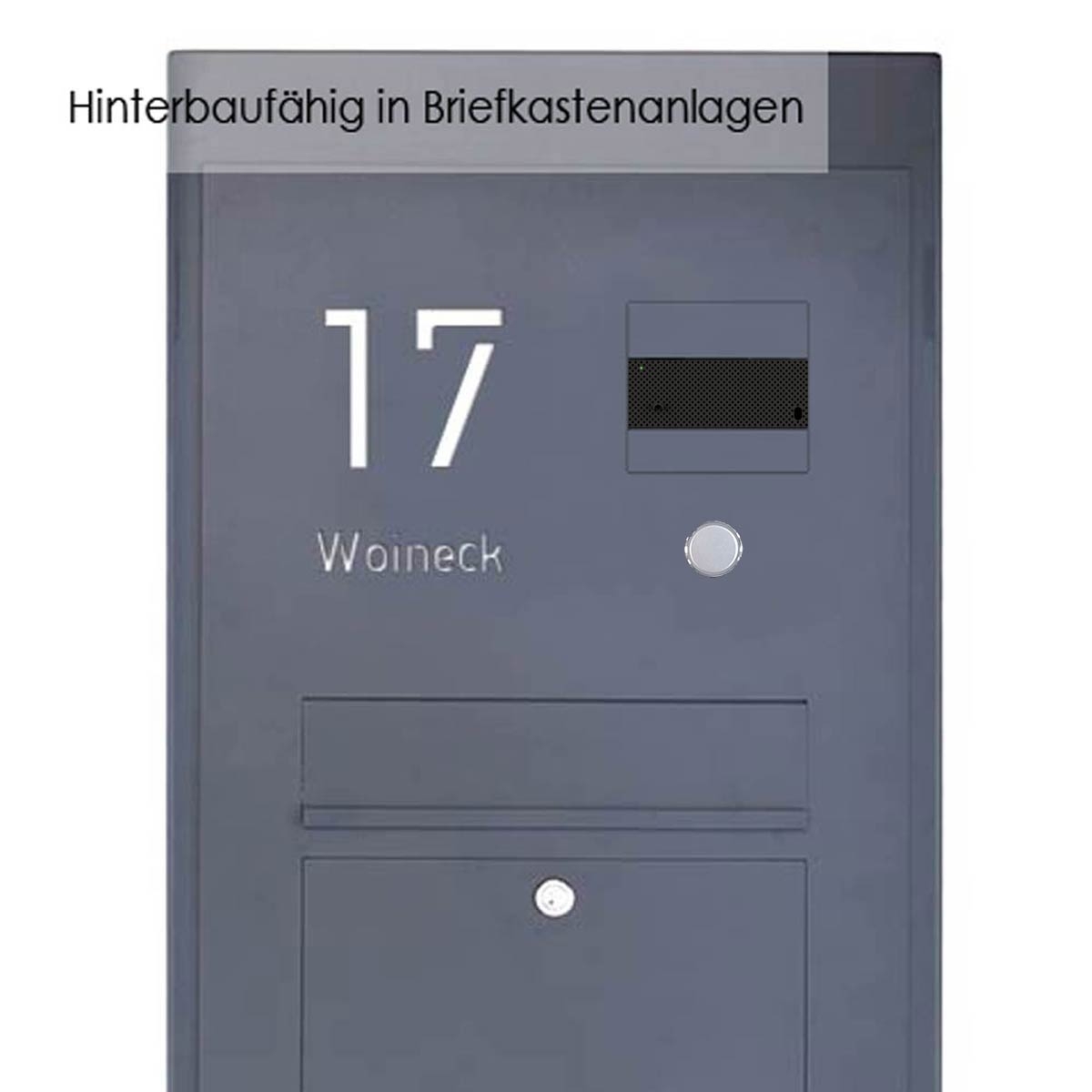 Audio module Ultra with dummy button for rear frame with external buttons incl. power supply unit 1210A - RAL of your choice Audio module Ultra with dummy button for rear frame with external buttons incl. power supply unit 1210A - RAL of your choice