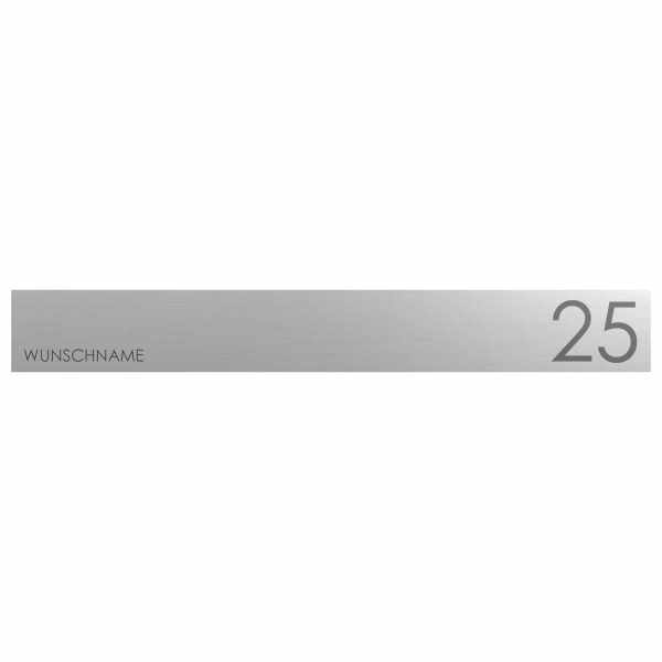 Stainless steel application 389x50 for GOETHE E1 as spare part - screwed - stainless steel polished
